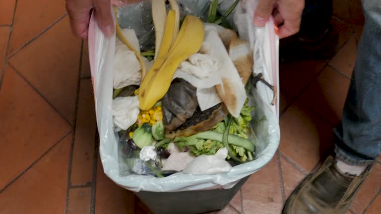 Best Yard Waste Removal  in Wyndham, VA